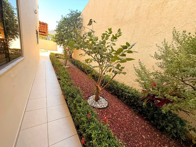 Área lateral com jardim