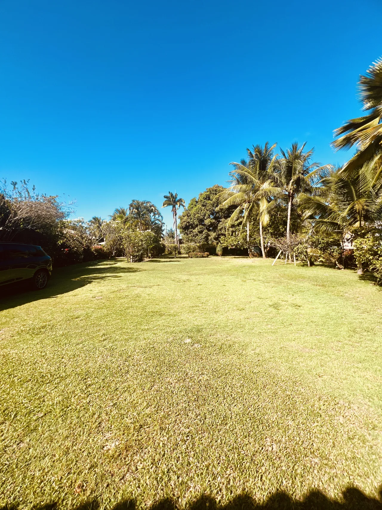 Jardim gramado com árvores