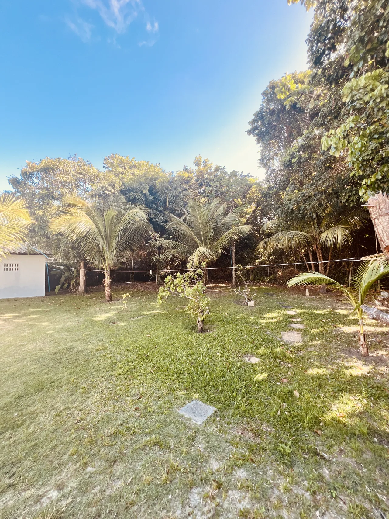 Jardim arborizado