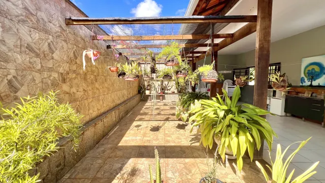 Estufa com plantas